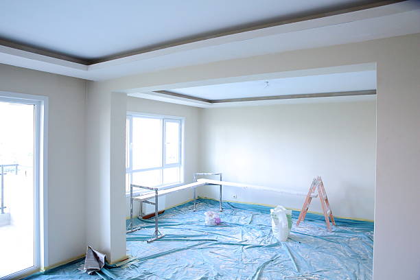 Best Drywall Crack Repair  in Somonauk, IL